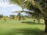 Sandals Golf & Country Club, Jamaica