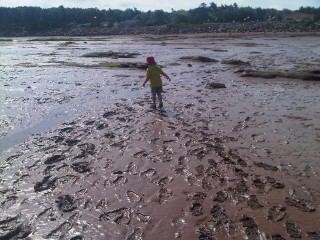 Max, playing in Mud Flats