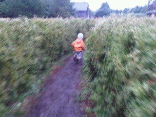 @coffeewithjulie Running in Mazes at Saunders Farm