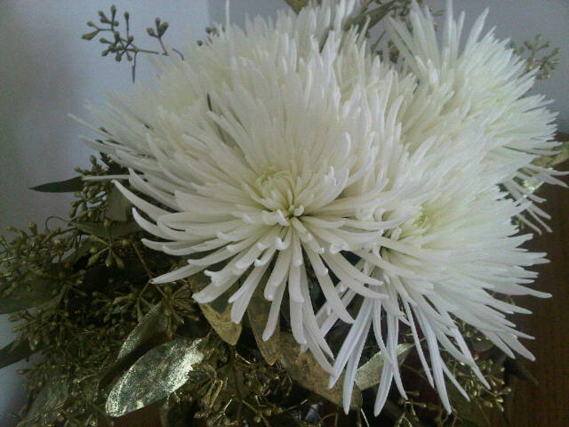 white flowers with gold