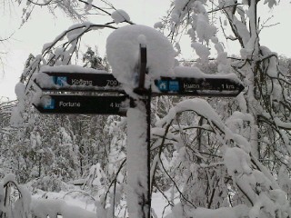 Snowy signpost