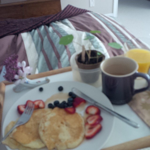 breakfast in bed