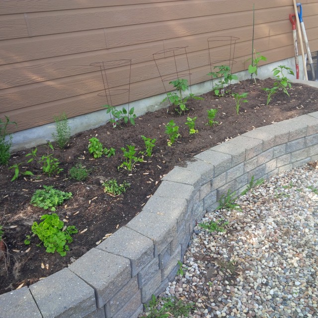 Vegetable garden