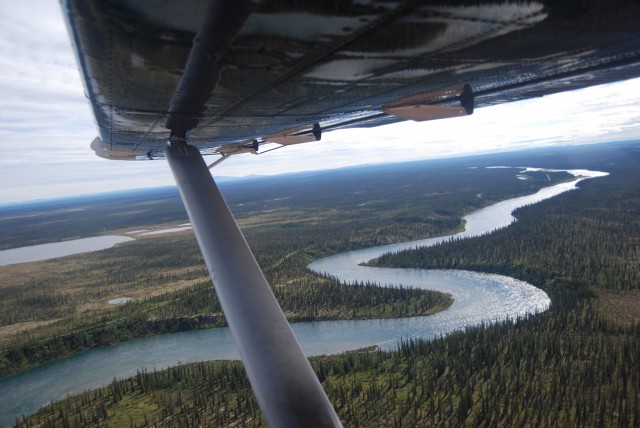 Aerial view of Great Bear River from the float plane. (Photo credit: Courtney Terriah)