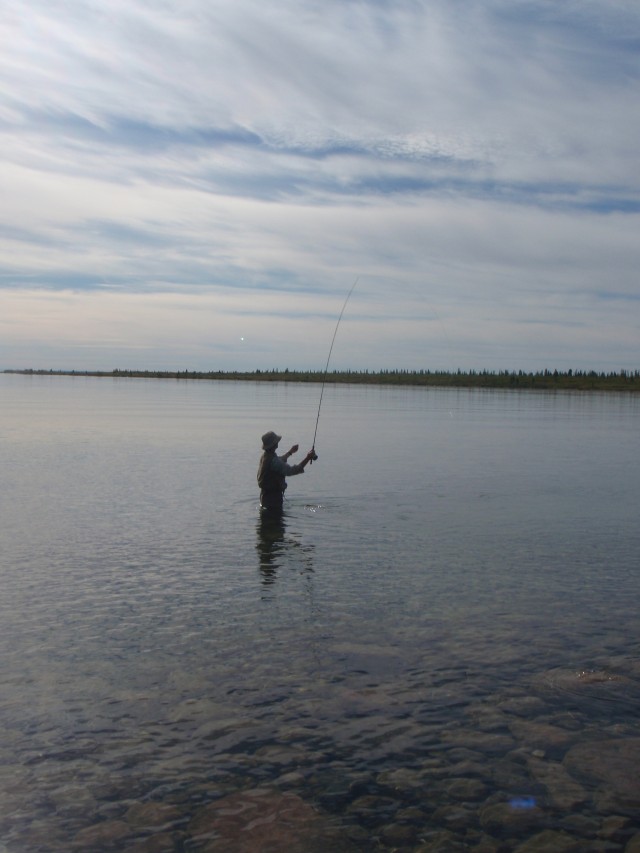 Fly fishing at the mouth of Great Bear River, NWT