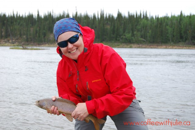 Greyling fish, NWT