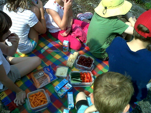 picnic