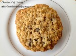 Whitewater Cooks Chocolate Chip Cookie logo (1)