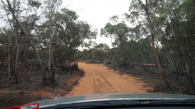 The drive tour is on a one-way, unsealed road.