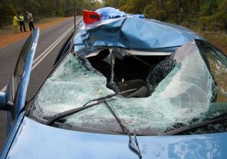 The wreckage of the fatal car crash after a kangaroo smashed through the windscreen. Photo: AAP