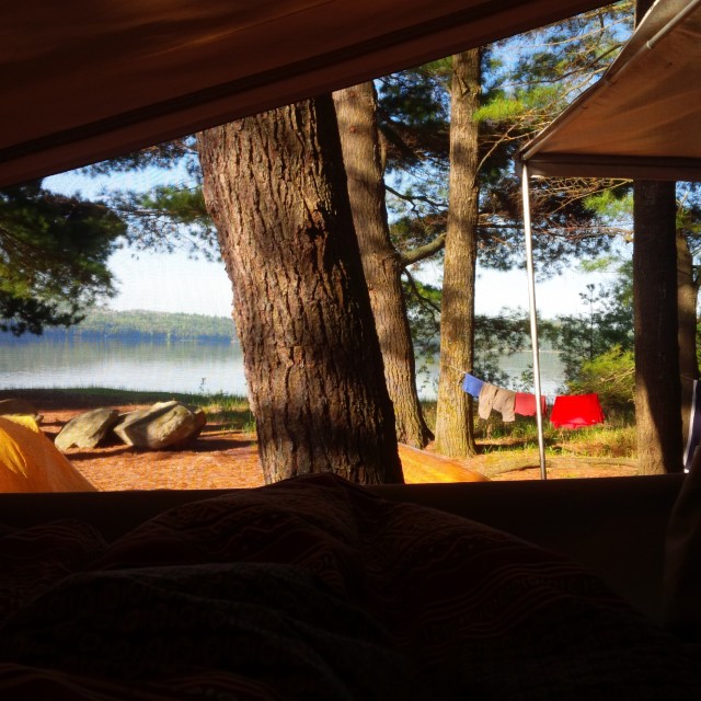 The view from our trailer (site 8) for morning coffee in bed.