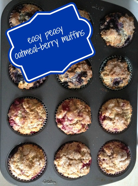 Oatmeal-Berry-Muffin-Recipe1