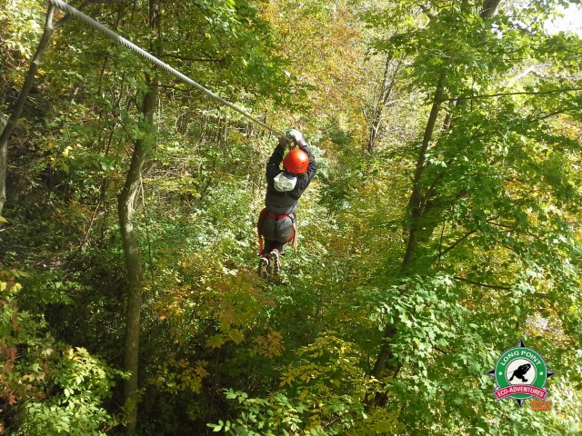 Stella in action on the Long Point Eco-Adventures zip track!