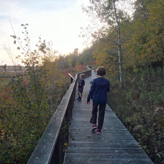 A trail which includes a long boardwalk and extensive views of the marshes.